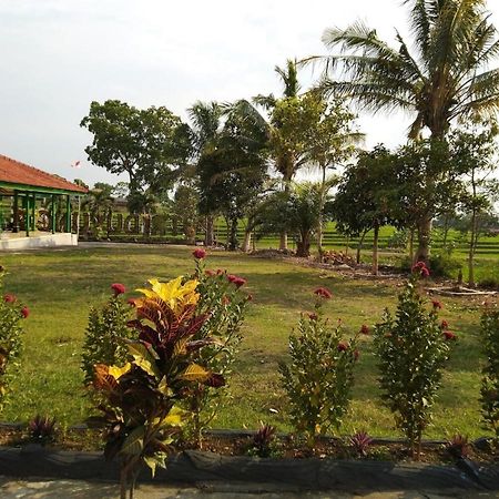 Putri Duyung Guest House Karangpandan Dış mekan fotoğraf